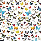 GirlsDay IfS-Mühletor