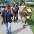 Alpabtrieb der Alpe Spora