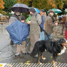 Große Viehprämierung am Sternenparkplatz