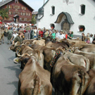 20030907_113487700.jpg