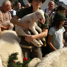 20070916_259523419.jpg