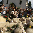 20070916_259523462.jpg
