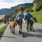 Alptag Schwarzenberg 23.jpg