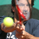 dc1-5ge5zxiw721vs38v8j7_original.jpg
