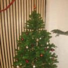 Join Weihnacht´s Party unter 16