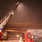 normal_150909brandkaypd_01.jpg