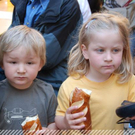 3355582.jpg