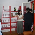 P1010066.jpg