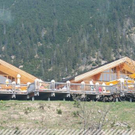 3361663.jpg