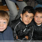 3364416.jpg