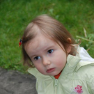 3364429.jpg