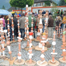 3364493.jpg