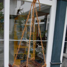 3364907.jpg