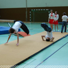 3364983.jpg
