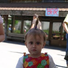 3380887.jpg