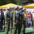 3380890.jpg