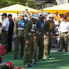 3380898.jpg