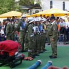 3380904.jpg