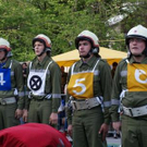 3380906.jpg