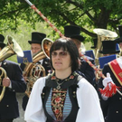 3386445.jpg