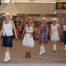 3396407.jpg