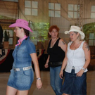 3396412.jpg
