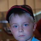 3396447.jpg
