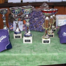 3400740.jpg