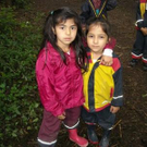 3402186.jpg