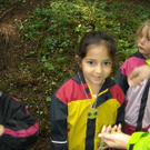 3402241.jpg