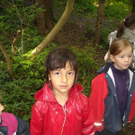 3402244.jpg