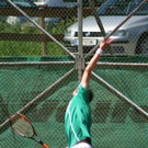 3405839.jpg