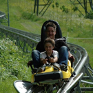 3414775.jpg