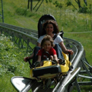 3414776.jpg