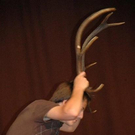 3425115.jpg