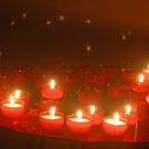 _DSC01180048.JPG