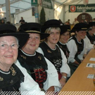 3446167.jpg