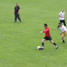 3464138.jpg