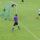 3464150.jpg