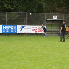 3464166.jpg