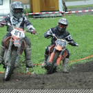 3502602.jpg