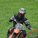 3502608.jpg