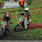 3502824.jpg