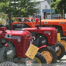 3513756.jpg