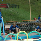3520987.jpg