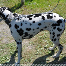 3533407.jpg