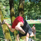 3570638.jpg