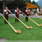 3575392.jpg