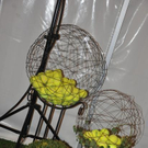 3595451.jpg