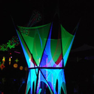 3600229.jpg